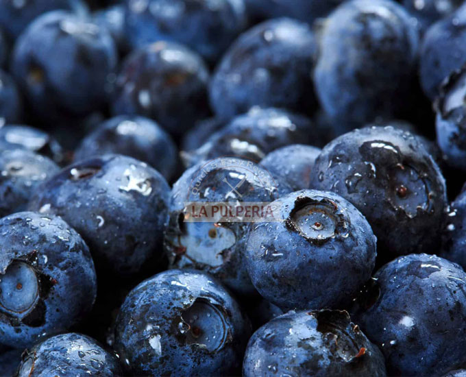How Long Do Blueberries Last at Room Temperature