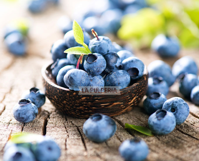 General Info about Blueberries